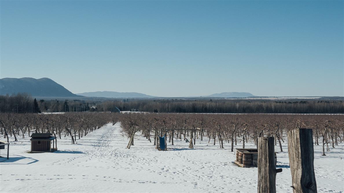 Vue l'hiver (&copy;Cidrerie Milton)