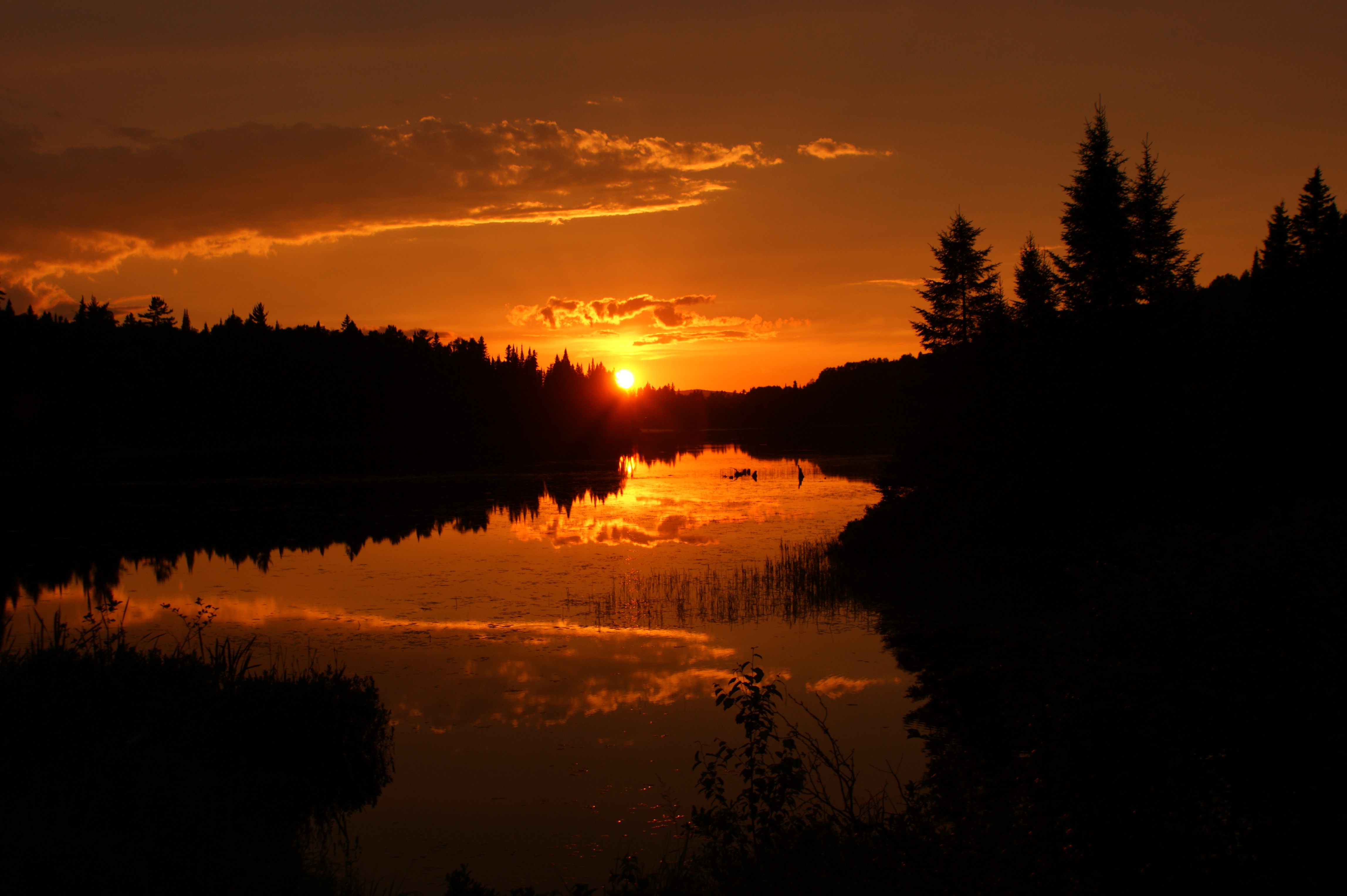 ZEC Collin_credit Julie Lachance1