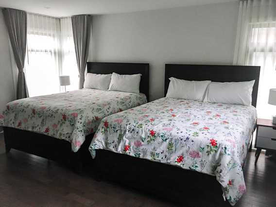 Le Tilleul le Chêne - 2