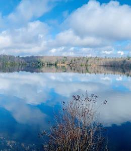 Parc Nature du Lac Beattie