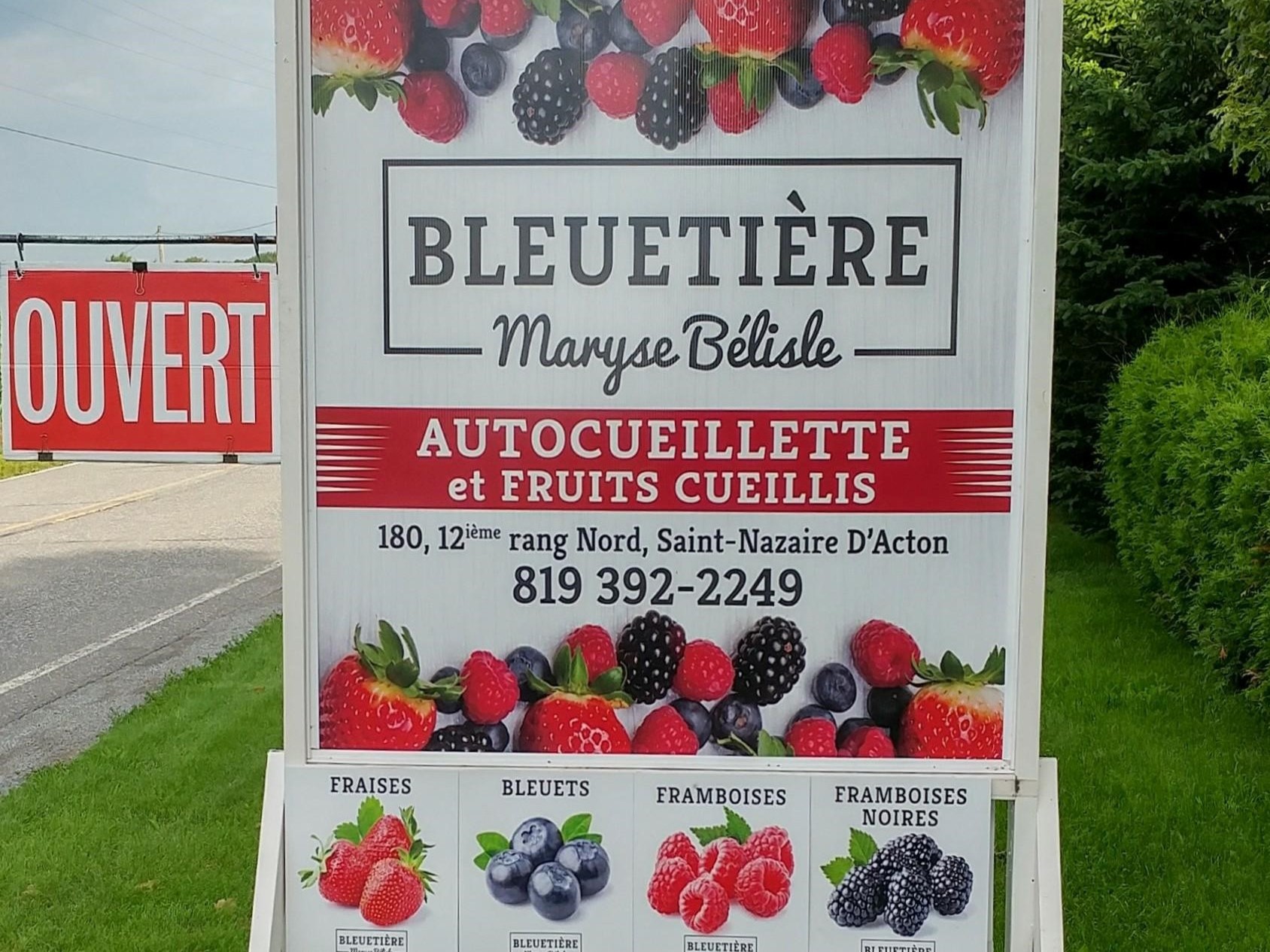 Bleuetière Maryse Bélisle Berry farm SaintNazaired'Acton