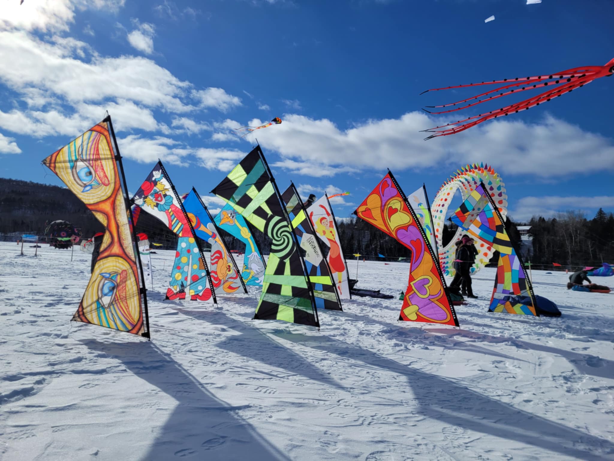 Cerfs-volants tout en beauté