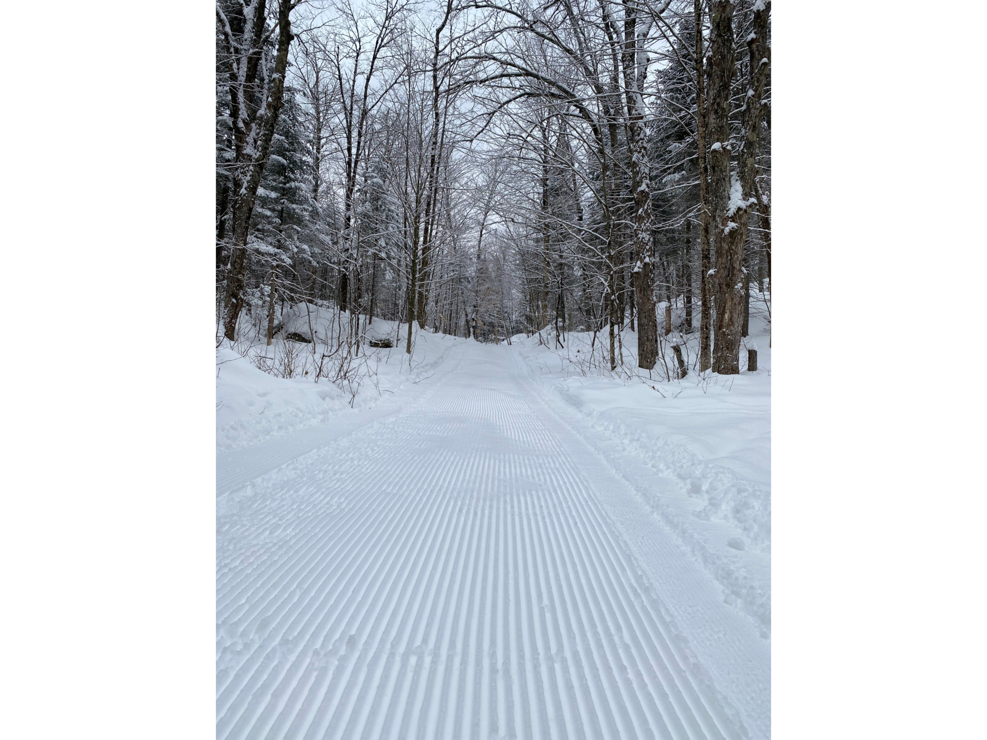 Ski trails behind the chalet