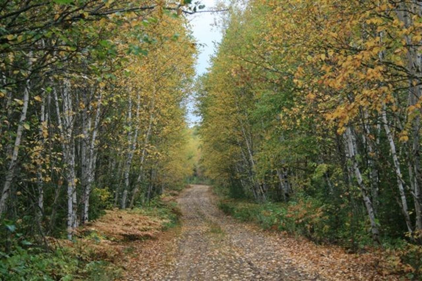 chambredecommercematawinie