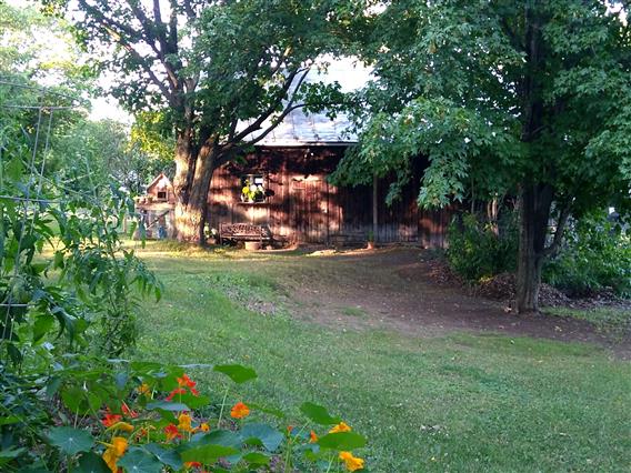 Dans le jardin, en été