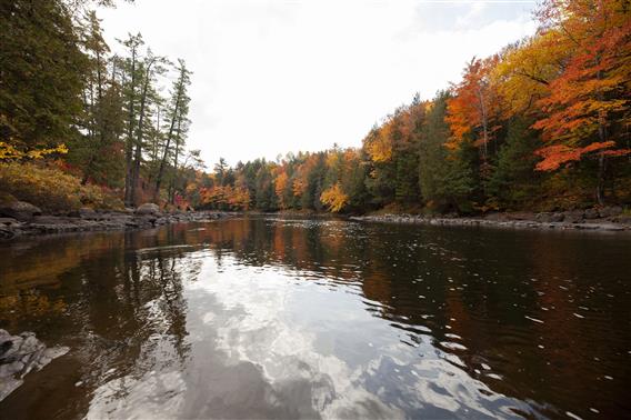 Parc des Chutes Dorwin - 8