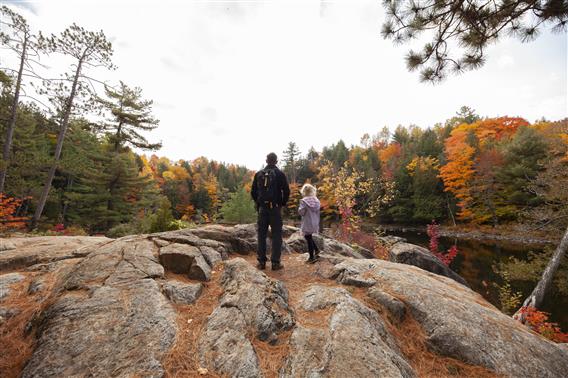 Parc des Chutes Dorwin - 7