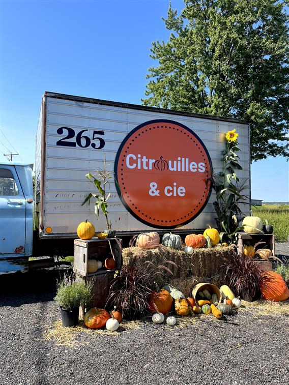 Citrouilles & cie - 11