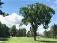 Club de golf Montcalm