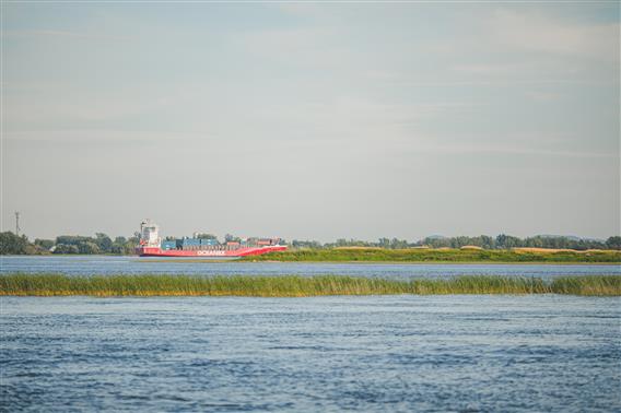 Croisière patrimoniale sur le fleuve Saint-Laurent - 6 