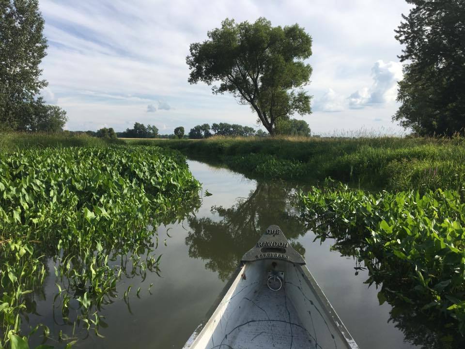 Safari dans le Bayou
