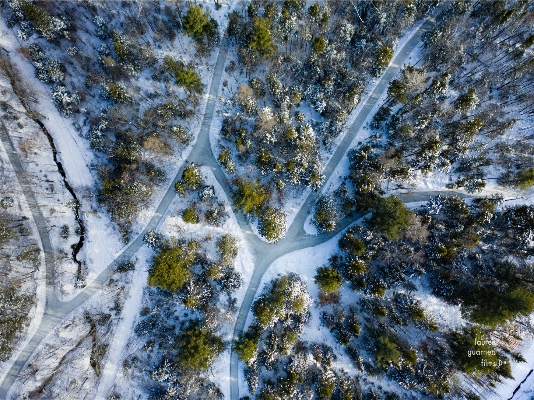 domaine-enchanteur-domaine-de-la-foret-perdue-labyrinthe-de-sentiers-de-patinage-en-foret