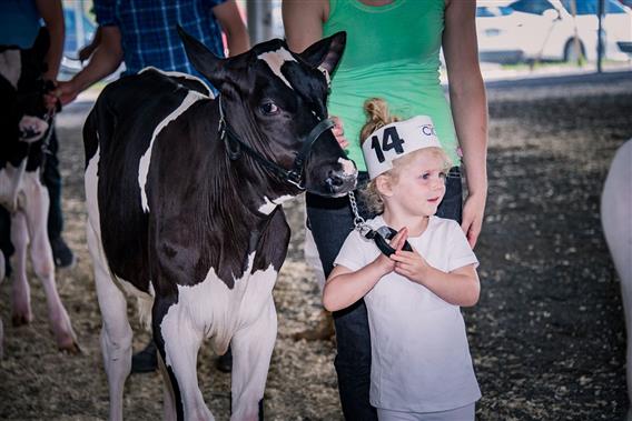 Cultura - Expo Rive-Nord - 6