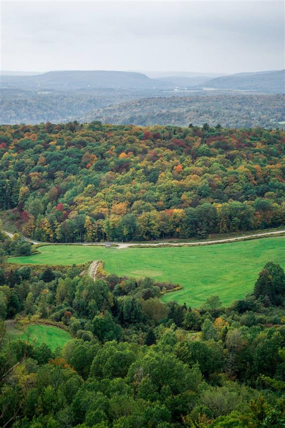 Le Tilleul le Chêne - 12