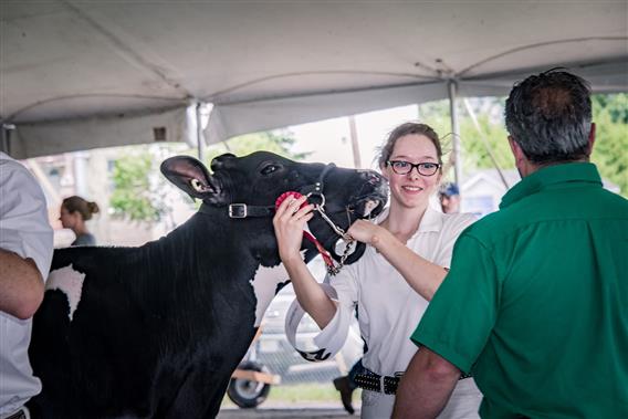 Cultura - Expo Rive-Nord - 3