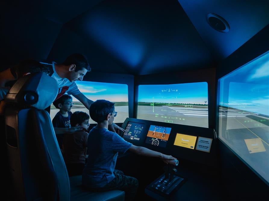 Simulateur de vol (&copy;Jean-Michel Naud, Photographe)