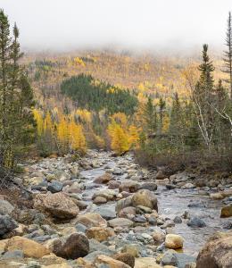 Parc national de la Gaspésie