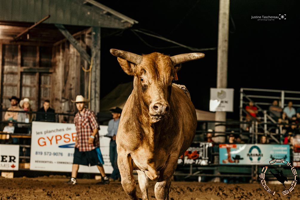 image0 (&copy;Rodéo de Cookshire)