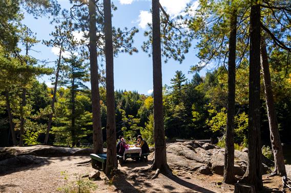 Parc des Chutes Dorwin - 9