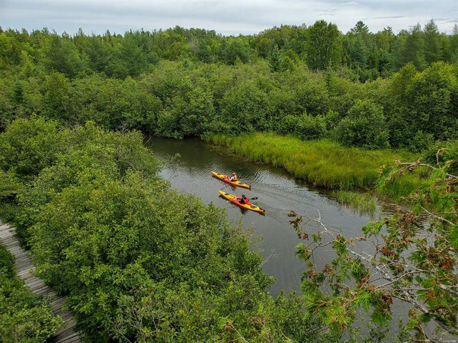 kayak-marais (&copy;Parc du Lac-Aylmer)