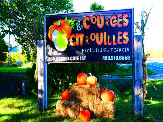 La brouette à légumes... citrouilles et sorcellerie - 7