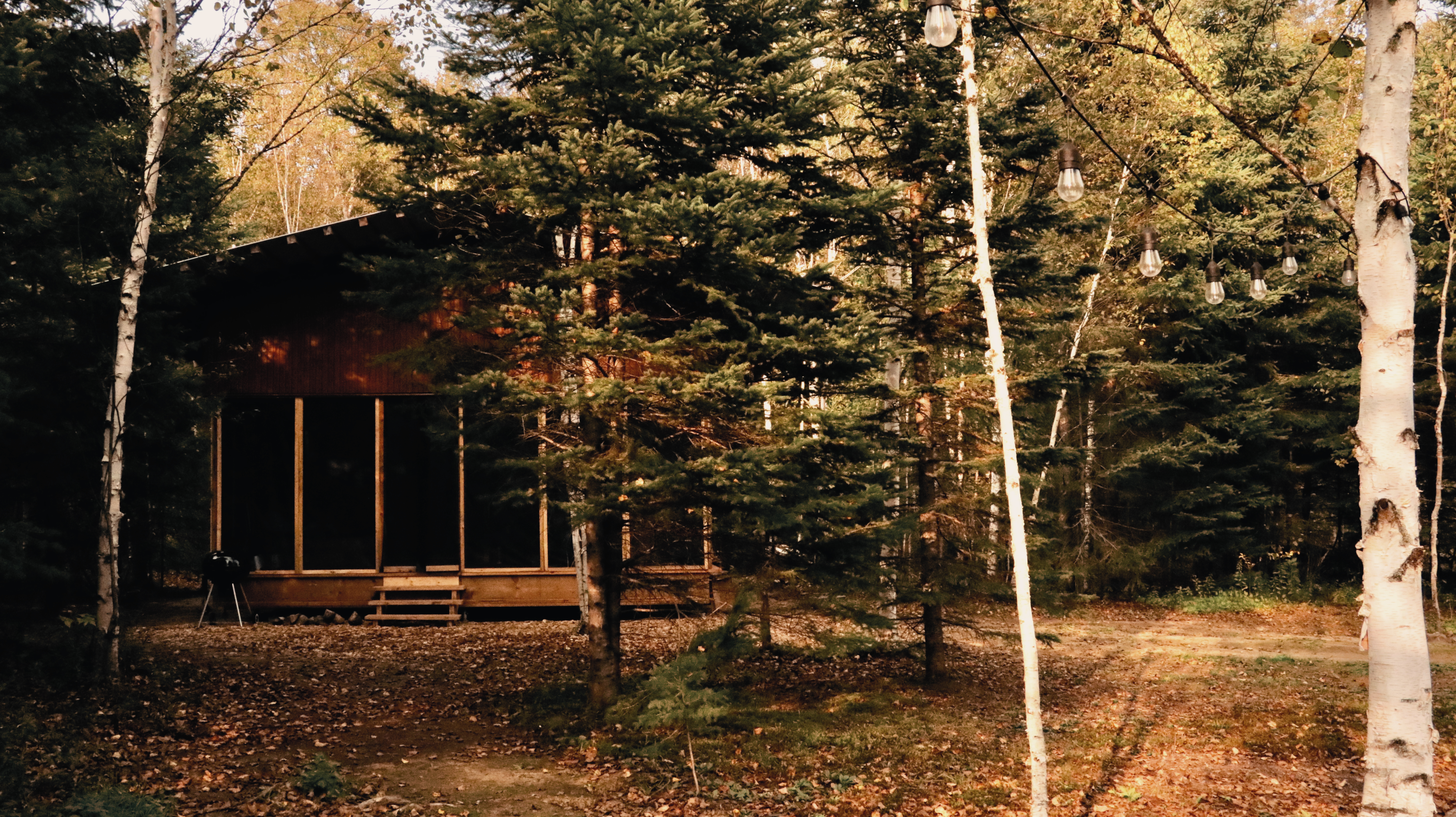 Micro-cabine, chalet