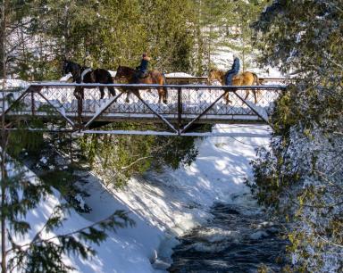 Découvrez un domaine splendide