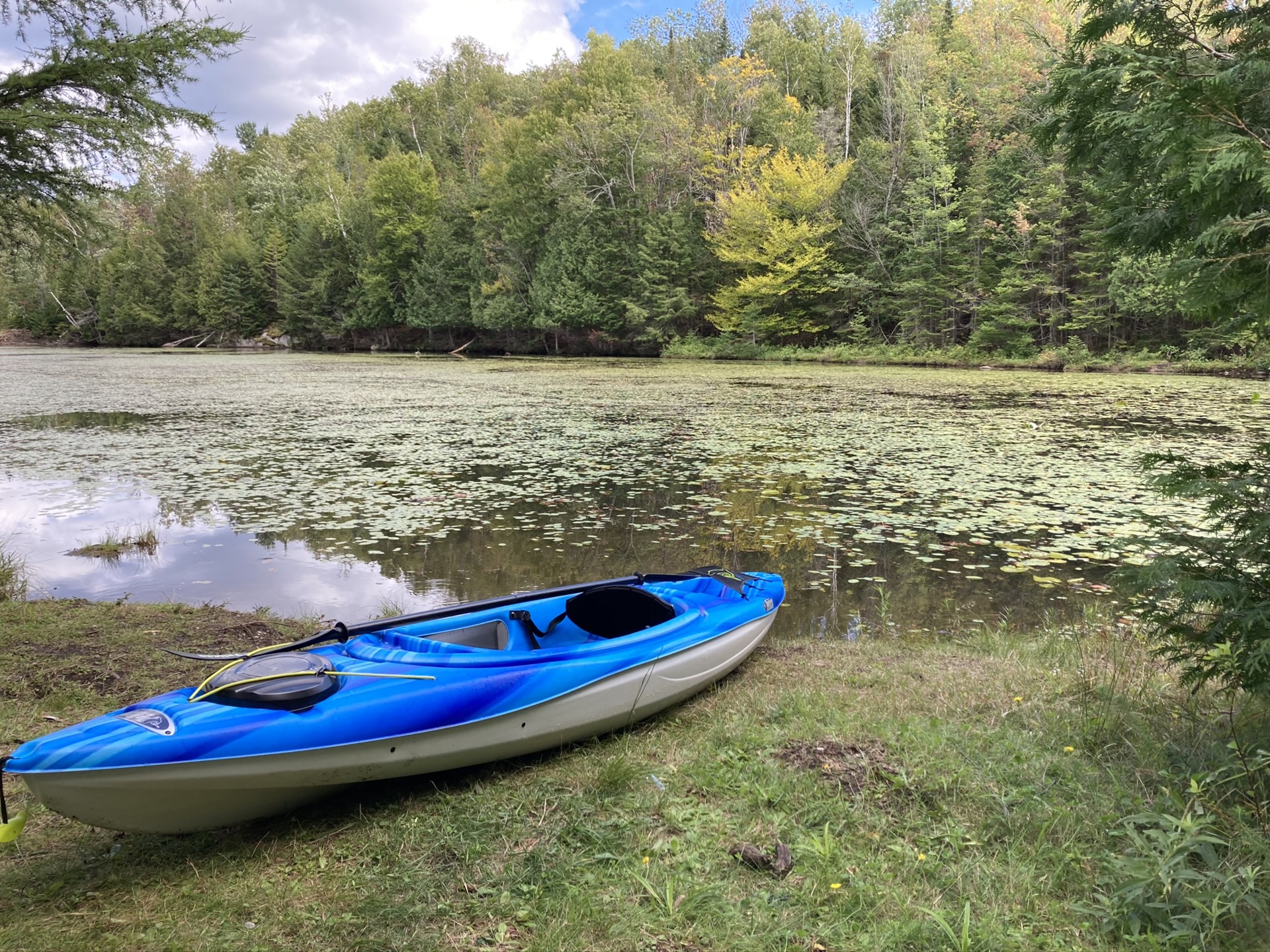 Activit&#233;s nautiques