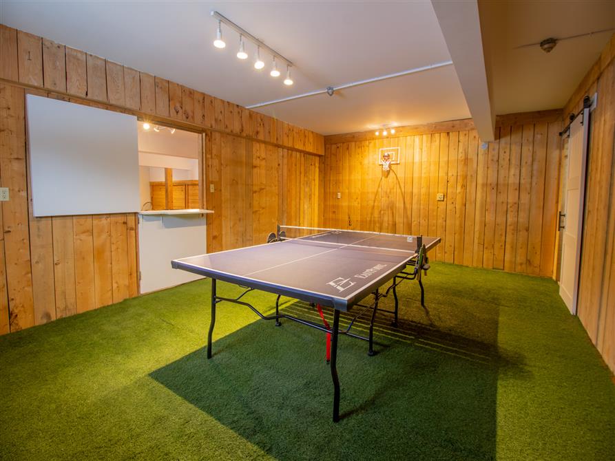 Table de ping pong