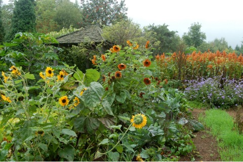 LES JARDINS DU GRAND-PORTAGE - 1