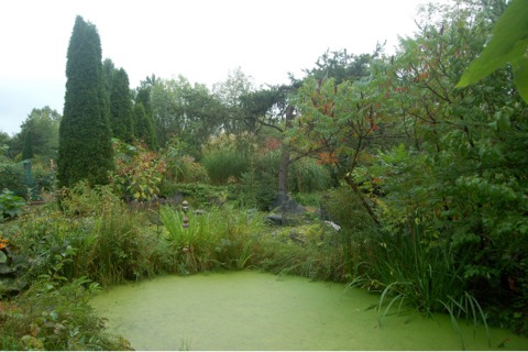 LES JARDINS DU GRAND-PORTAGE - 2