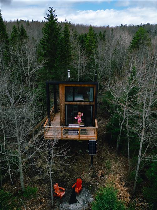 Immersion en nature dans une cabine vitrée (&copy;Lfayos)