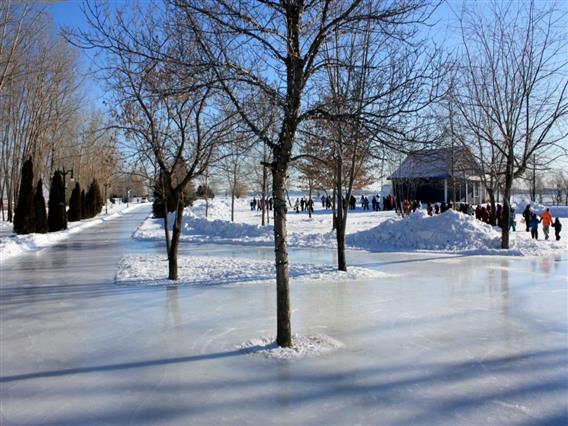 Anneau de glace