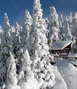 Parc d'environnement naturel de Sutton