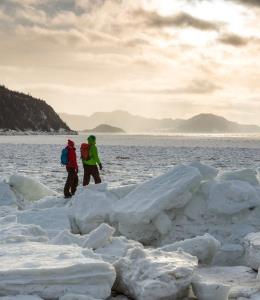 Parc national du Bic