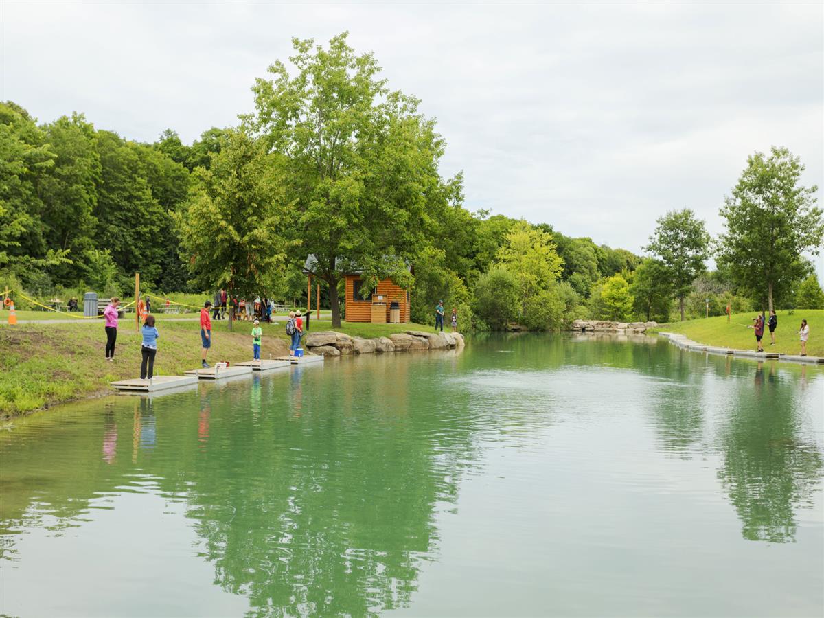 Disc Golf Bois de Belle-Rivière de Mirabel