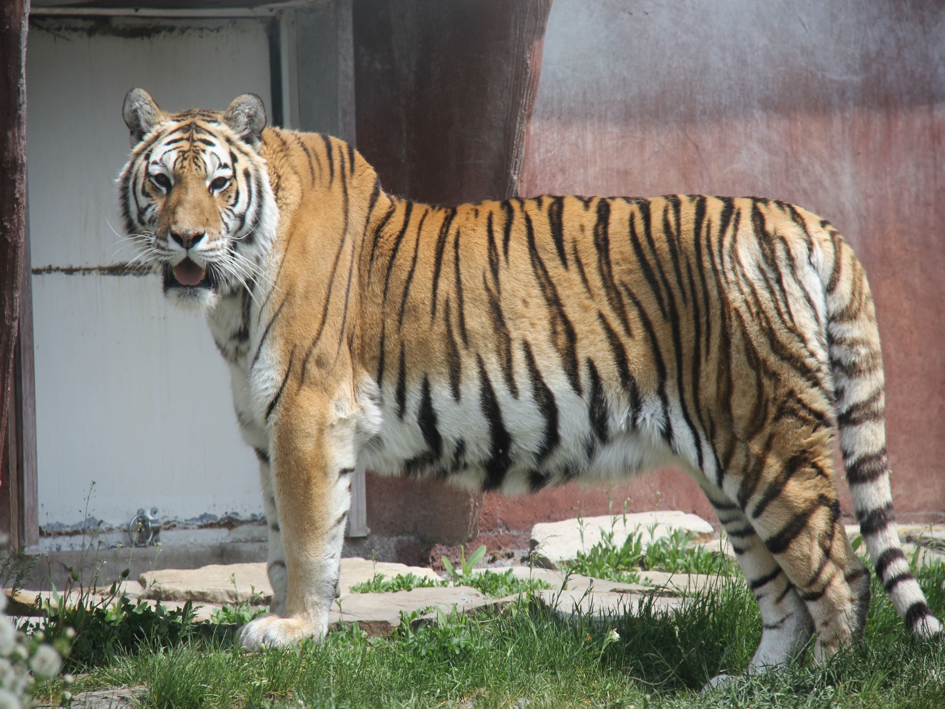 Parc Safari Zoo / aquarium SaintBernarddeLacolle Bonjour Québec