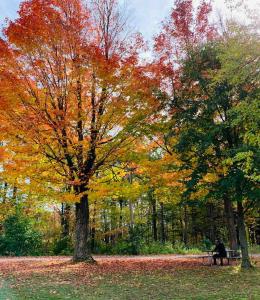Parc des Voltigeurs