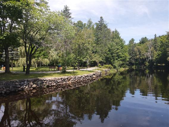 printemps-ste-emelie-slx35-V2