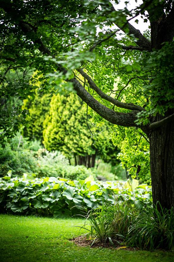 Vue du Jardin