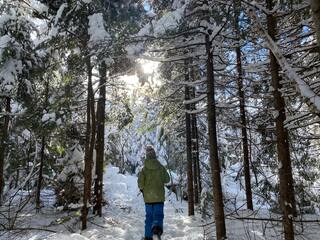 Snowshoeing trails