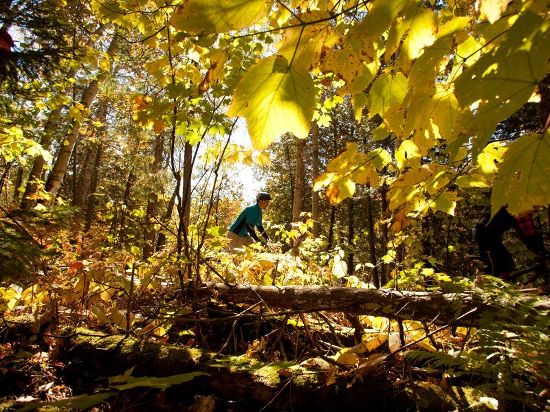 Réseau pleinair des sentiers de MorinHeights Trail MorinHeights