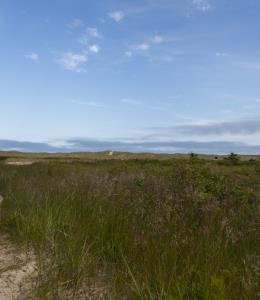 Réserve nationale de faune de la Pointe-de-l'Est