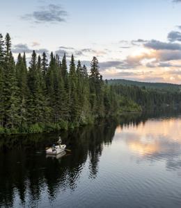 Réserve faunique de Rimouski