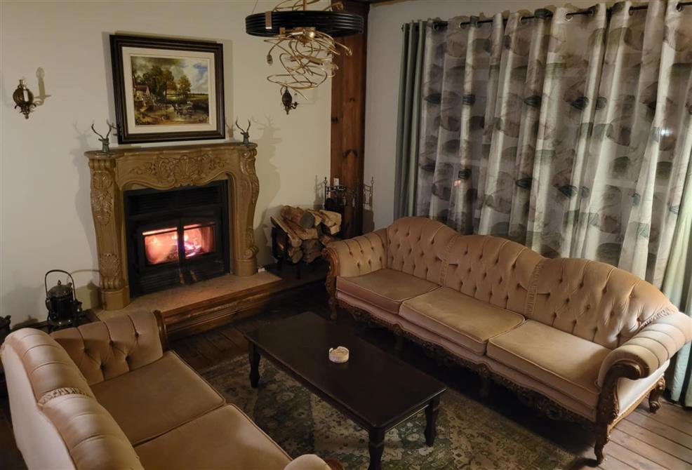 salon (&copy;Chantal Ladouceur)