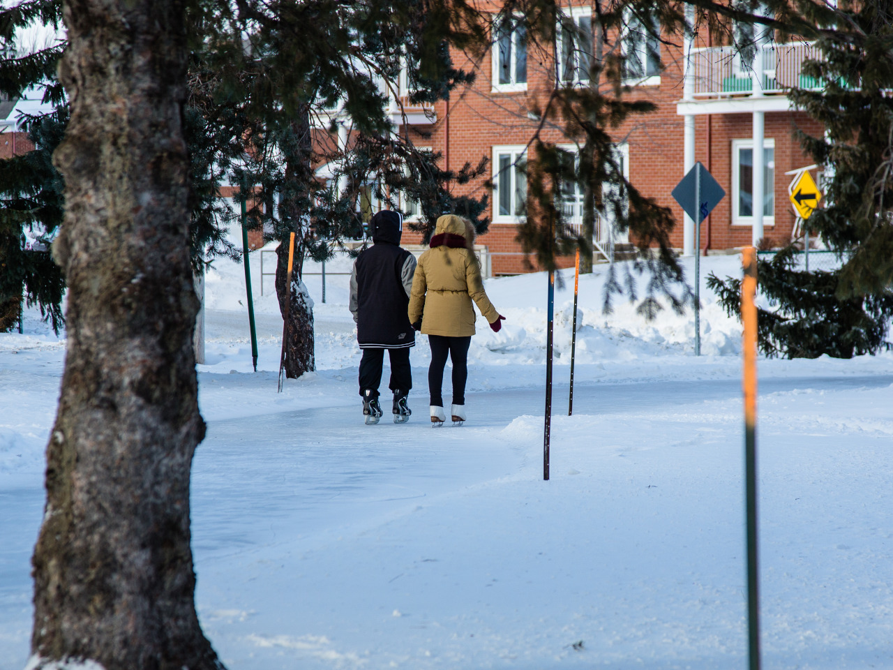 Sentier glacé de la Vélogare du GrandTronc Skating rink
