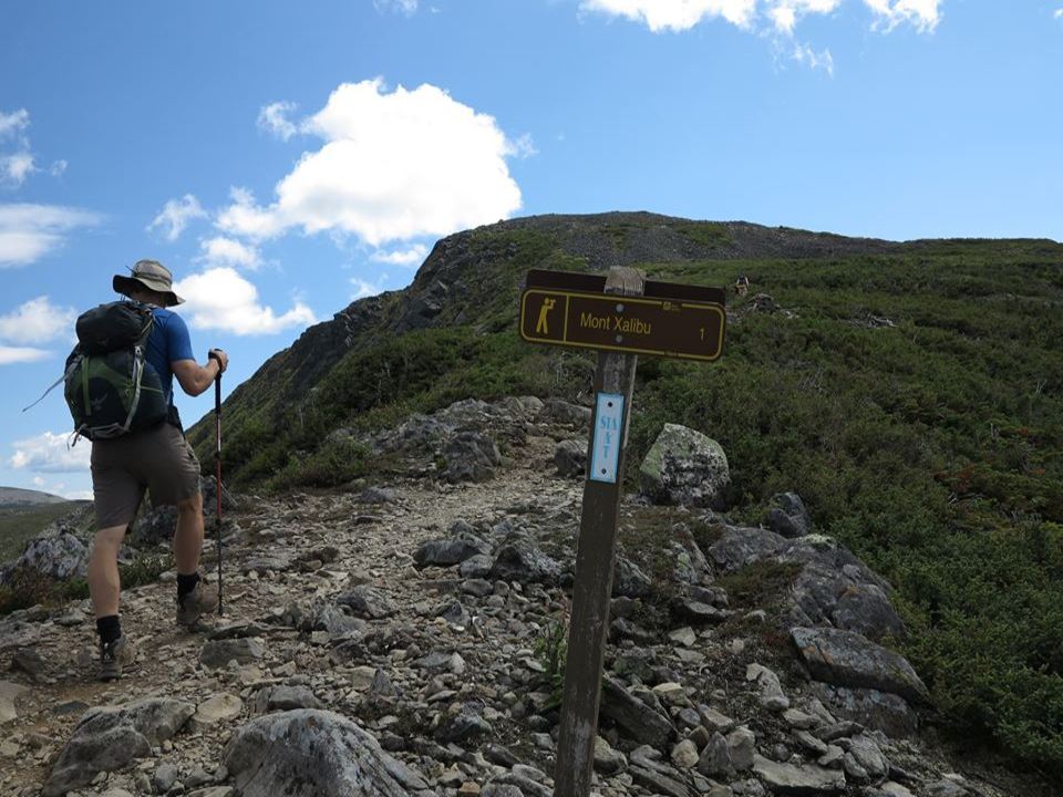 Anneau en D - Randonnée, Plein air & Camping  Mount Trail – Mount Trail  (9414-1611 Québec inc)