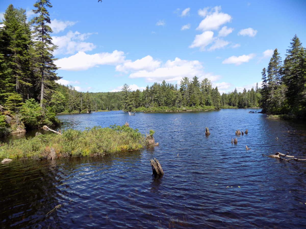sentiers national de la mauricie - baie ouest du lac en croix