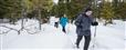 Cross-country skiing and snowshoeing - Saint-Côme municipals trails
