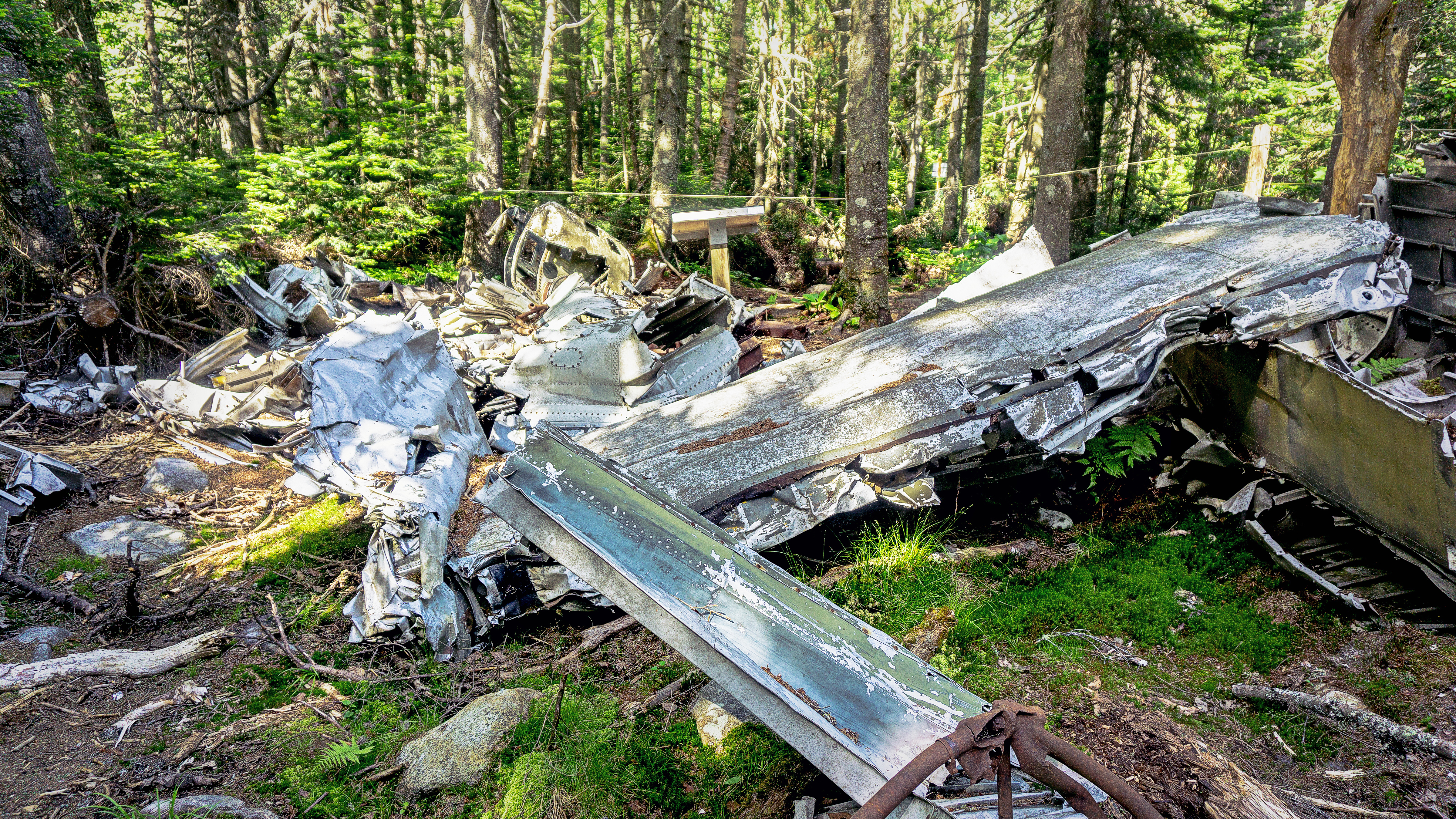 Site historique de l'écrasement du Liberator Harry
